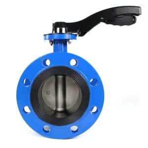 DN50 2000 Double Flange Butterfly Valve PN10 PN16 Ductile Iron DI Stainless Steel Manual Water Application Normal Temperature 18
