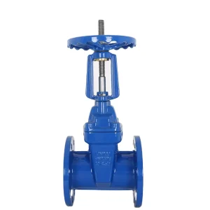 DN50 600 Large Diameter Elastic Seat Sealing Gate Valve