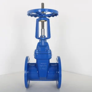 DN50-600 Large Diameter Elastic Seat Sealing Gate Valve