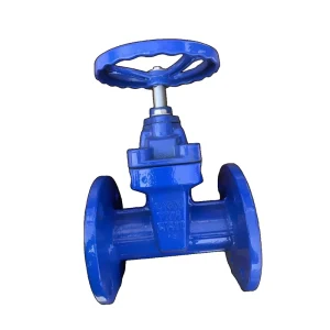 DN50 Cast Iron Flange Gate Valve Suitable for Manual ODM OEM Applications in Warm Water