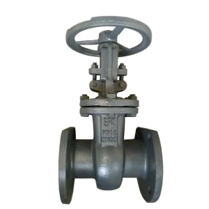 DN50-DN1200 Stainless Steel Z41h-16 GOST Russian Standard WCB 20L Wedge Gate Valve