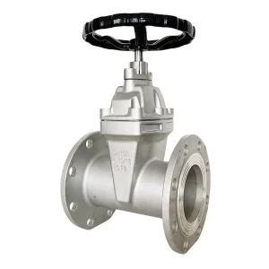 DN50-DN200 API GB DIN Standard Stainless Steel Soft Seal Gate Valve