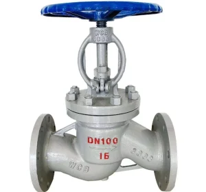 DN50-DN200 Cryogenic Globe Valve, SS314 Flange End, Carbon Steel Disc