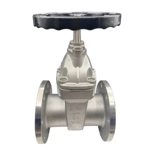 DN50 DN200 PN16 Manual Water 304 EPDM Soft Seal Elastic Seat Stainless Steel Bidirectional Flow Gate Valve