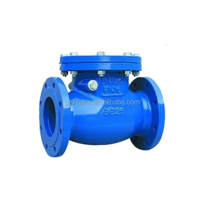 DN50-DN300PN16 Ductile Iron Flange Swing Check Valve H44X Manual One Way Valve Water Supply Pipeline OEM Supported