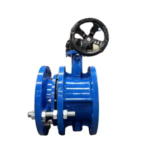 DN50-DN600 Telescopic Flange Butterfly Valve for Industrial Use ODM OEM OBM