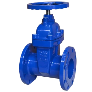 DN50 DN65 DN80 DN100 Iron Cover Ductile Iron Soft Sealed Gate Valve