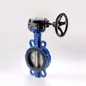 DN50 Ductile Iron Manual Butterfly Valve with Turbine Handle Suitable for Water Gas Oil