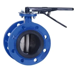 DN50 Ductile Iron Manual Short Slide Flanged Butterfly Valve for Oil