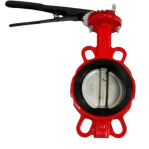 DN50 Manual Butterfly Valve with Soft Seal Handle for Water Applications Ductile Iron Lug Butterfly Valve