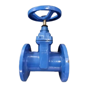 DN50 Manual Cast Iron Flange Gate Valve Suitable for Normal Temperature Water Control Applications OEM ODM