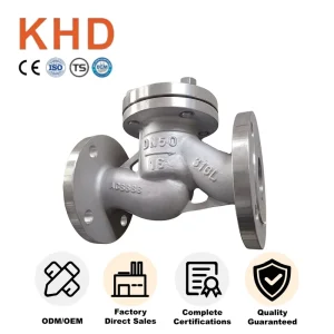DN50 Ss316 Flanged Check Valve Corrosion Resistant High Temperature Elevating Type Flanged Connection