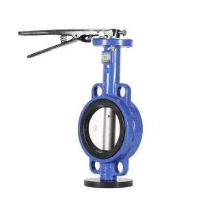 DN50 Water Wafer Butterfly Valve with Manual Handle GGG50 Resilient Seated Valve for Irrigation Systems