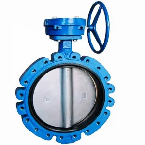 DN600 Hydraulic Operated Butterfly Valve GGG50 Double Flange High Pressure Valve for Large Water Works