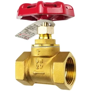 DN65 Brass Female Thread Globe Valve PN16 Special for Fire Fighting HVAC and Chemical Industry