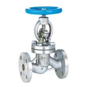 DONJOY Sanitary Stainless Steel Flange Connection Gate Valve Food Beverage Factory Hygenic Gate Valve