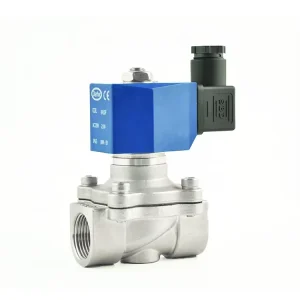 DW21 2 Way 1inch 2inch Female Thread Direct Acting Normally Closed Stainless Steel 304 Water Solenoid Valve 220VAC 24VDC