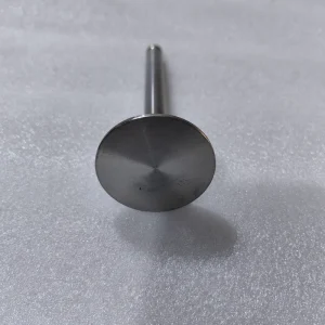 Daewoo Bus Parts Truck Excavator Parts DV15 Engine Parts 65.04101 0367 Exhaust Valve for Doosan Engine