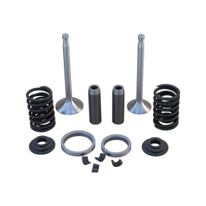 Diesel Engine Valve Assembly Suitable for Agricultural Diesel Engines