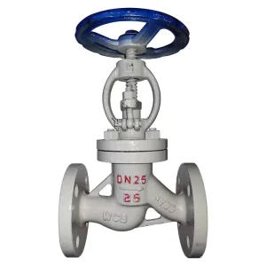 Din 10dn65 Class125 Manual High Temperature Stop Stainless Steel Teflon lining Sw J41h Globe Valve OEM JITAI