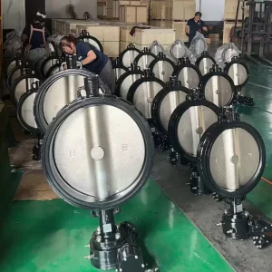 Direct Custom Stainless Steel Wafer Handle Butterfly Valve Sealing Ductile Iron Butterfly Valve Factory Direct