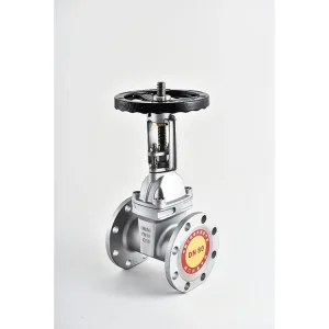 Direct Manufacturer Stainless Steel 304 316 Flanged Open Stem Gate Valve Model Z41W for Water Manual Use 2″ 12″ Port