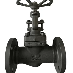Direct Supply Forged Steel Flange Lift-type Globe Valve J41H-64C Petroleum Application Heat Transfer Oil Steam Tap