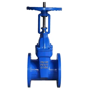 Dn50 Water Use Soft Connection Rising Stem Slide Cast Iron Sluice Gate Valve
