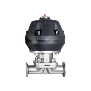 Donjoy Stainless Steel Sanitary Diaphragm Valve with Plastic Pneumatic Actuator for Water for Milk and Juice