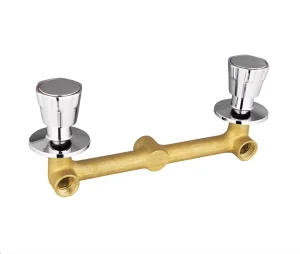 Double Ended Globe Valve with Handwheel and Double Internal Thread Double Switch Forged Brass