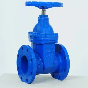 Double Flanged Resilient Seated Manual Gate Valve PN16 PN10 Ductile Iron Body EPDM Wedge Soft Seal Water Gate Valve BS5163