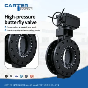 Double Offset High Pressure Butterfly Valve 316 SS Wafer Lug Pneumatic Worm Gear Bi directional Seal Steam Water DIN PN100 OEM