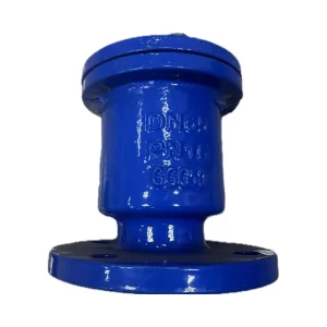 Double Port Check Valve Hydraulic for Water Threaded Flange Exhaust Shutoff in Pipelines with 2″ Port Size