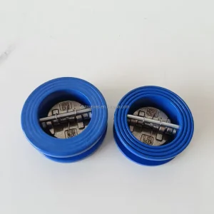 Double plate Check Valve Double Flange Water Double disc Stainless Steel Wafer Check Valve DN50 DN700 Port Size Hydraulic Power