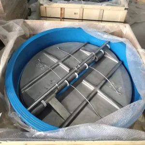 Dual Check Valve Flap Single Double Disc Plate Non return Wafer Butterfly Check Valve DN50 DN1200 Water