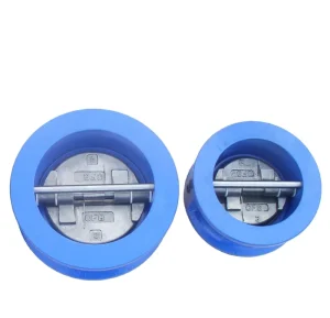 Dual Plate Wafer Check Valve