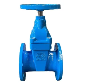 Ductile Cast Iron Elastic Seat Sealing Gate Valve