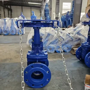 Ductile Iron Body OS&Y PN10 PN16 PN25 DN50 DN600 DIN ANSI BS EN Wafer Rising Stem Soft Sealing Water Manual Gate Valve