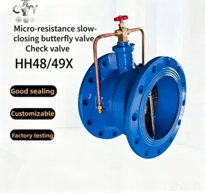Ductile Iron Butterfly Check Valve HH48X PN16 Flanged Slow Closing Water Valve DN50 to DN1000