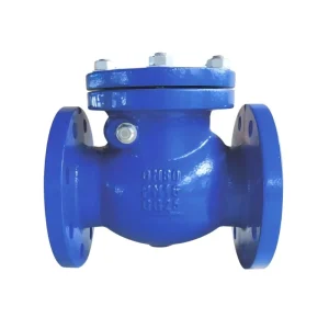 Ductile Iron Check Valve One-way Non-return Valve Anti-backflow DI Valve for Water Supply and Industrial Systems