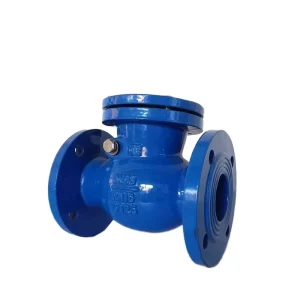 Ductile Iron Copper Core Swing Check Valve Custom Sizes DN50-DN600 GGG50 Flanged Double Disc Swing Check Valve