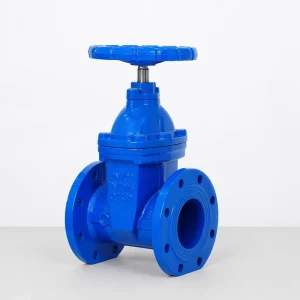 Ductile Iron DN50 DN600 Resilient Seated Manual Gate Valve Low Pressure PN16 PN10 Flanged End Bi directional Soft Seal Water