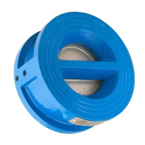 Ductile Iron Double Disc Door Wafer Type Dual Plate Manual Water Check Valve 1.6 Mpa DN40 DN600 Steel Sealing