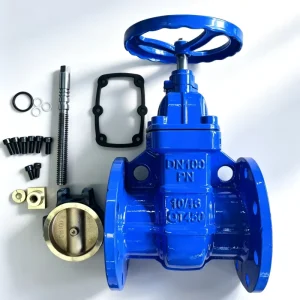 Ductile Iron Flange Concealed Stem Copper Seal Manual Gate Valve Z45T 10 16Q 2in 40in for Water Systems Supplied by Manufacturer