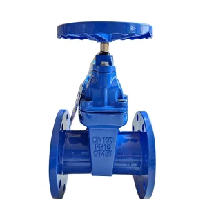 Ductile Iron Flange PN16 DN150 Soft Seal Manual Water Gate Valve with Non Rising Stem Valve