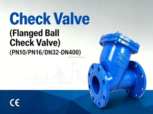 Ductile Iron Flanged Ball Check Valve PN10 PN16 DN32-DN400 Water Sewage Pipeline Non Return Valve Increased Wall Thickness