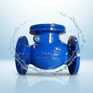 Ductile Iron Flanged End Double Disc Swing Type Safety Manual High Temperature Water Check Valve