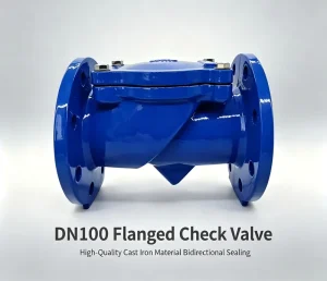 Ductile Iron GGG50 QT450 PN16 Flanged Blue Epoxy Coated Water Supply Pipeline Irrigation Cast Iron Check Valve