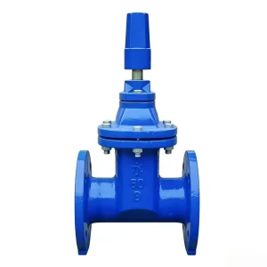 Ductile Iron Gate Valve Flanged Resilient Seated Gate Valve for Water Supply PN16 DN50 DN600 Manual Gate Valve