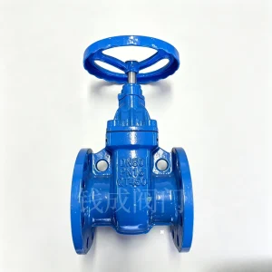Ductile Iron Hard Seal Gate Valve DIN Manual Flange Connection